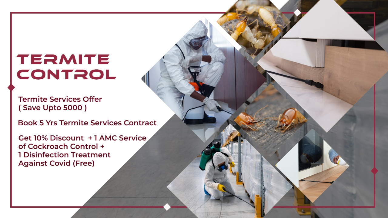Commercial Pest Control Services in Mumbai, Thane