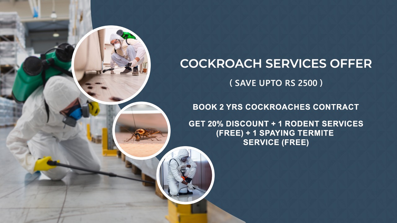 Cockroach Pest Control Sevices, Bed Bug Pest Control Services Mumbai, Thane